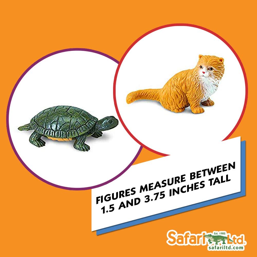 Safari Pets, Small, Orange - Image 2