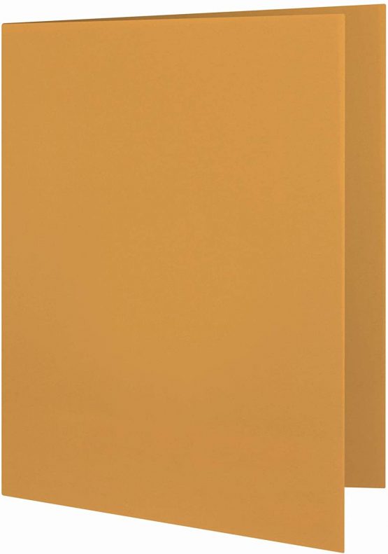 Elba 32450BL Document Cover for 100 DIN A4 Pages 250 g/m² Manila Cardboard Set of 100 Blue - Image 2