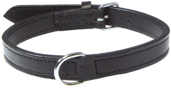 Active collar - Image 2