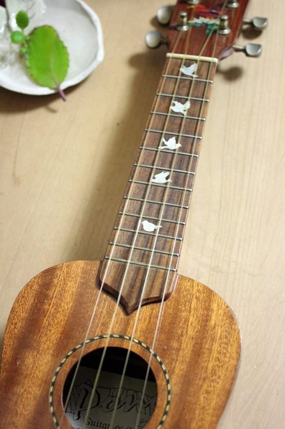 Inlaystickers Decal for Ukulele - Doves Fretboard Markers & Hawaiian Honeycreeper Set, UK-268HHC-AZ - Image 3