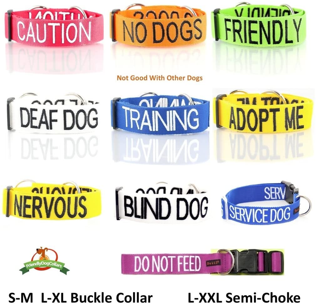 Dexil NERVOUS (Give Me Space/Maybe Unpredictable) Yellow Warning Dog Colour Coded Luxury Padded Personalised 1.8m 6ft Lead Leash To Prevent Accidents or Incidents. Dog Award Winning - Image 4