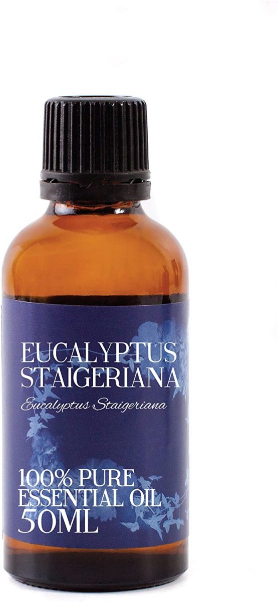 Mystic Moments | Eucalyptus Staigeriana Essential Oil - 50ml - 100% Pure