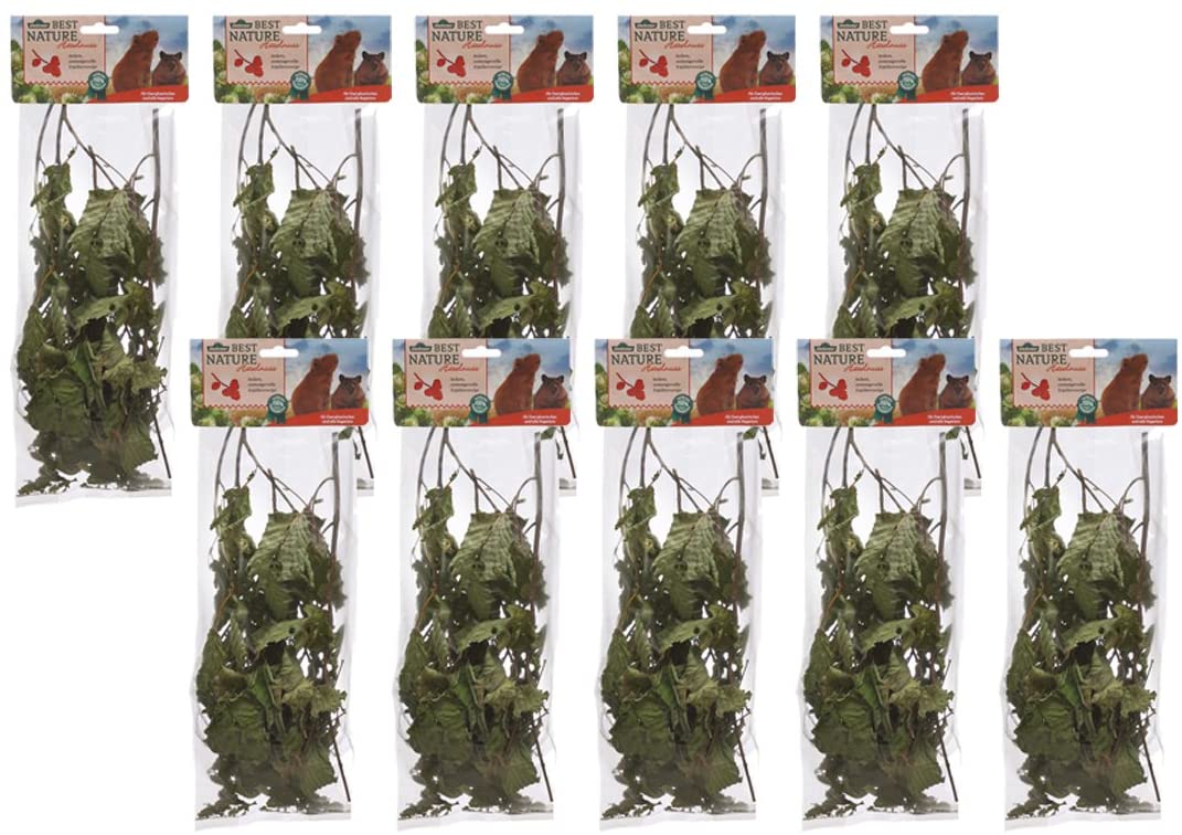 Dehner Best Nature Rodent Snack Hazelnut Branches - 10 x 25g (250 g), 250 g (Pack of 1)