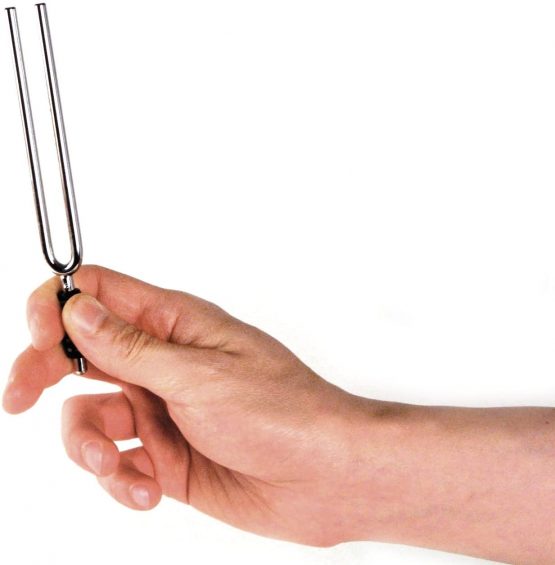 Planet Waves Tuning Fork Key of A - Image 2