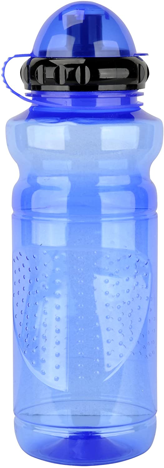 Unbekannt Fischer Adult Plastic Blue 700 ml Water Bottle, Blue, 700 ml