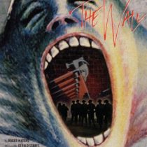 Pink Floyd - The Wall [DVD] [1982]