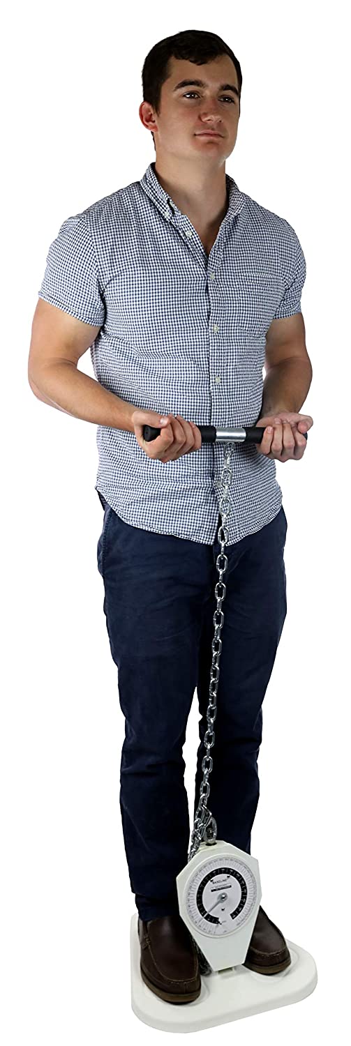 Baseline 12-0400 Back/ Leg/ Chest Dynamometer, 297 kg - Image 2