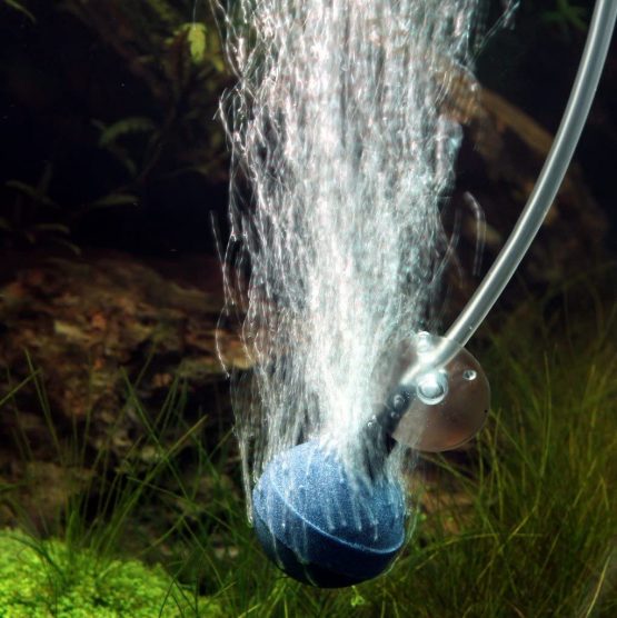 JBL Aeras Micro Ball L, Air stone 40 mm in diameter for fine air bubbles - Image 4