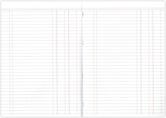 Silvine A4 Book Keeping Journal, 32 Pages Printed 'Double Cash' - Ref SJA4J - Image 4