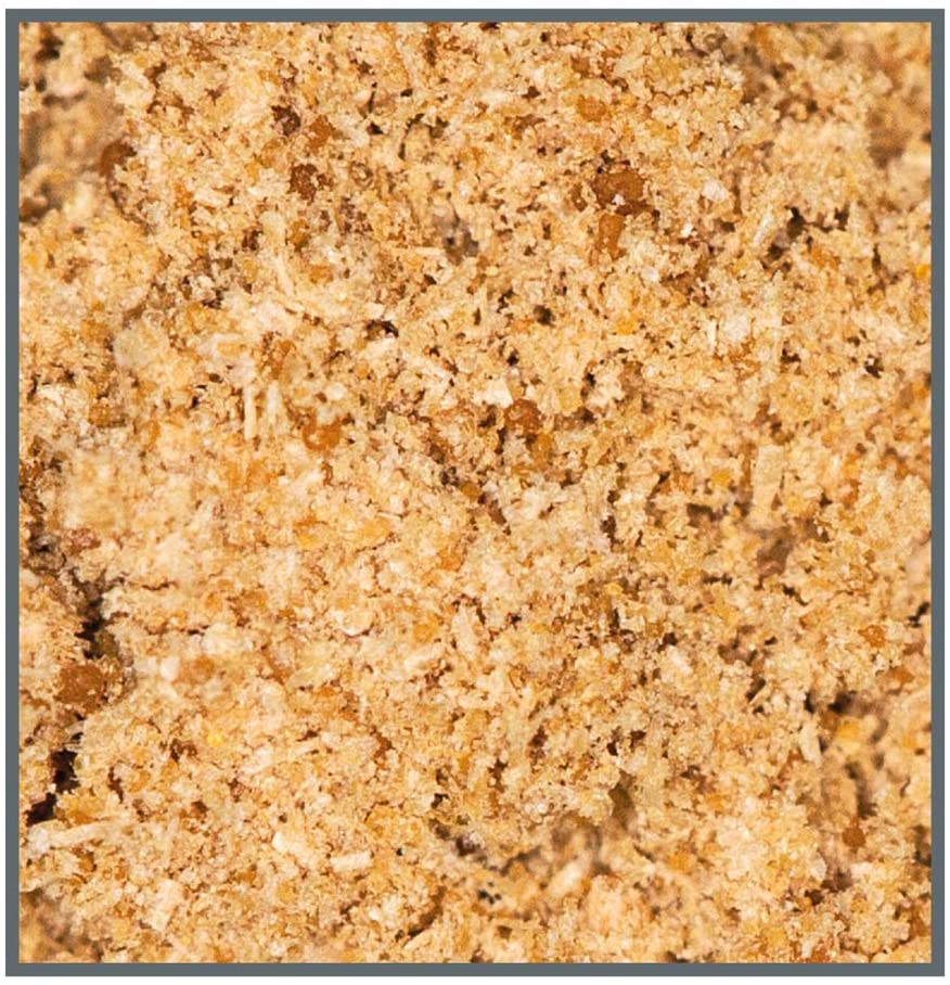 Dupla Marin Coral Food for Aquarium 180 ml, 90 g (Pack of 1) - Image 2