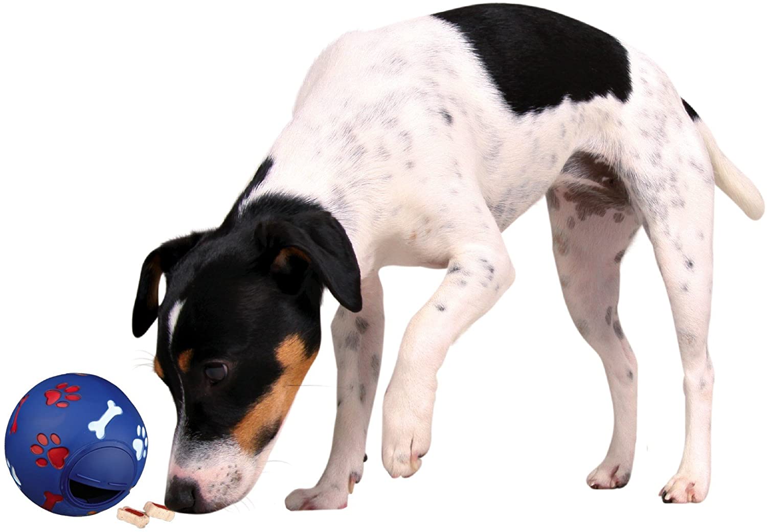 Trixie Dog Activity Plastic Snack Ball, 7 cm Diameter, Assorted color - Image 2