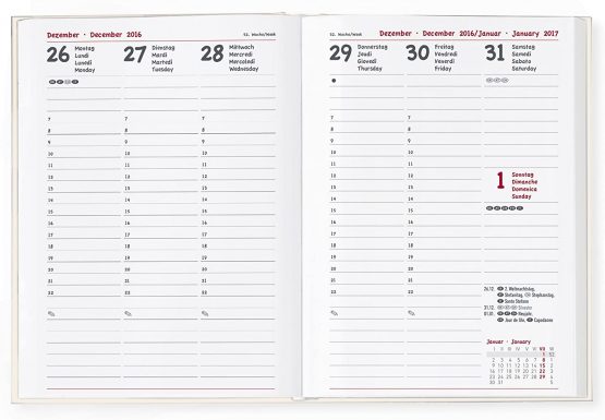 Alpha Edition collegetimer 170657 School Diary Weekly for Year 2016/2017, A5 - Image 2