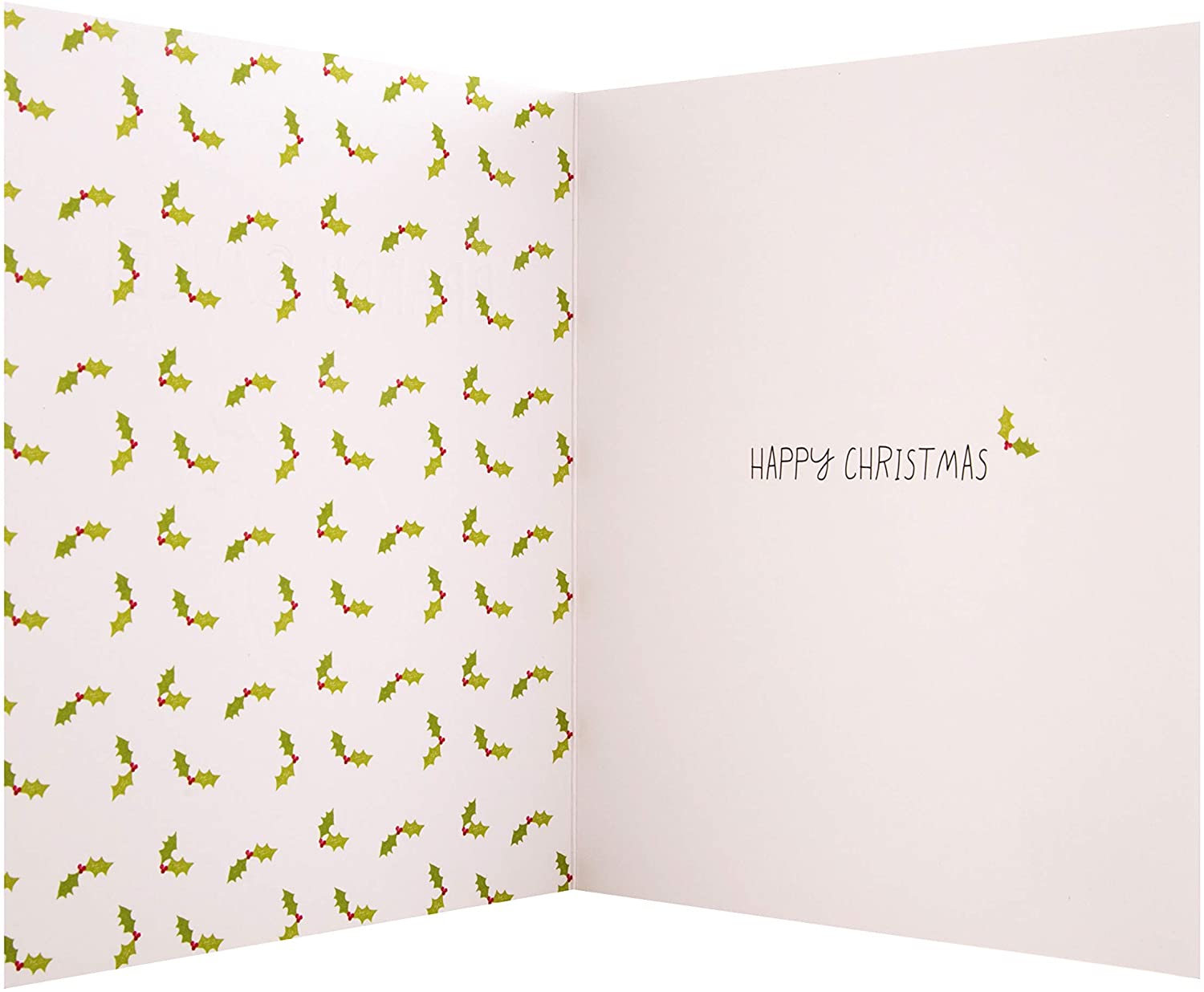 Christmas Card for Any Recipient from Hallmark - Funny Christmas Pudding Design, peach, 18cm x 16cm - Image 4