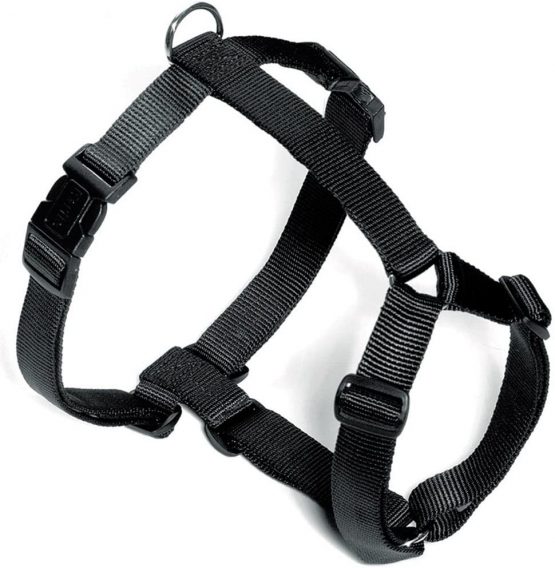 Black H Hardwearing Harness for dogs