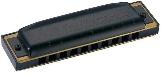 Hohner Pro Harp Harmonica M564036 x D