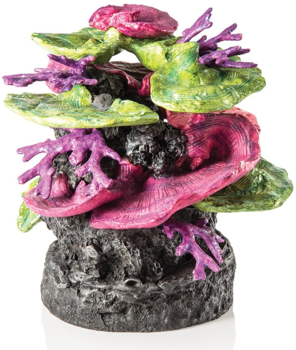biOrb Coral Rock Ornament green-purple, Green Purple
