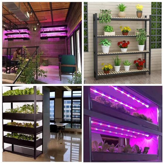 LED Grow Light Bars for Indoor Plants Plant Grow Lamp with Red/Blue Spectrum Growth Light Strip with Power Switch Wire + Cables for Greenhouse Plant Grow Shelf (Pack of 2) - Image 4