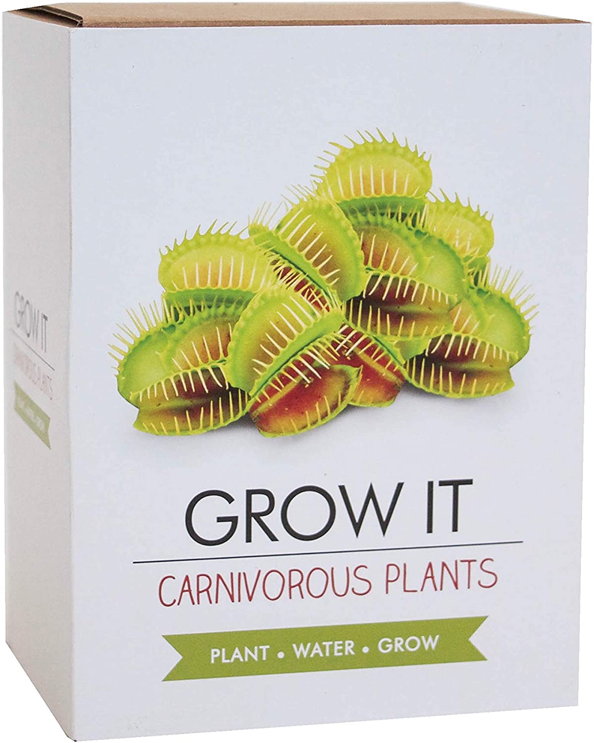 Gift Republic GR200010: Grow It. Grow Your Own Carnivorous Plants, Green - Image 3