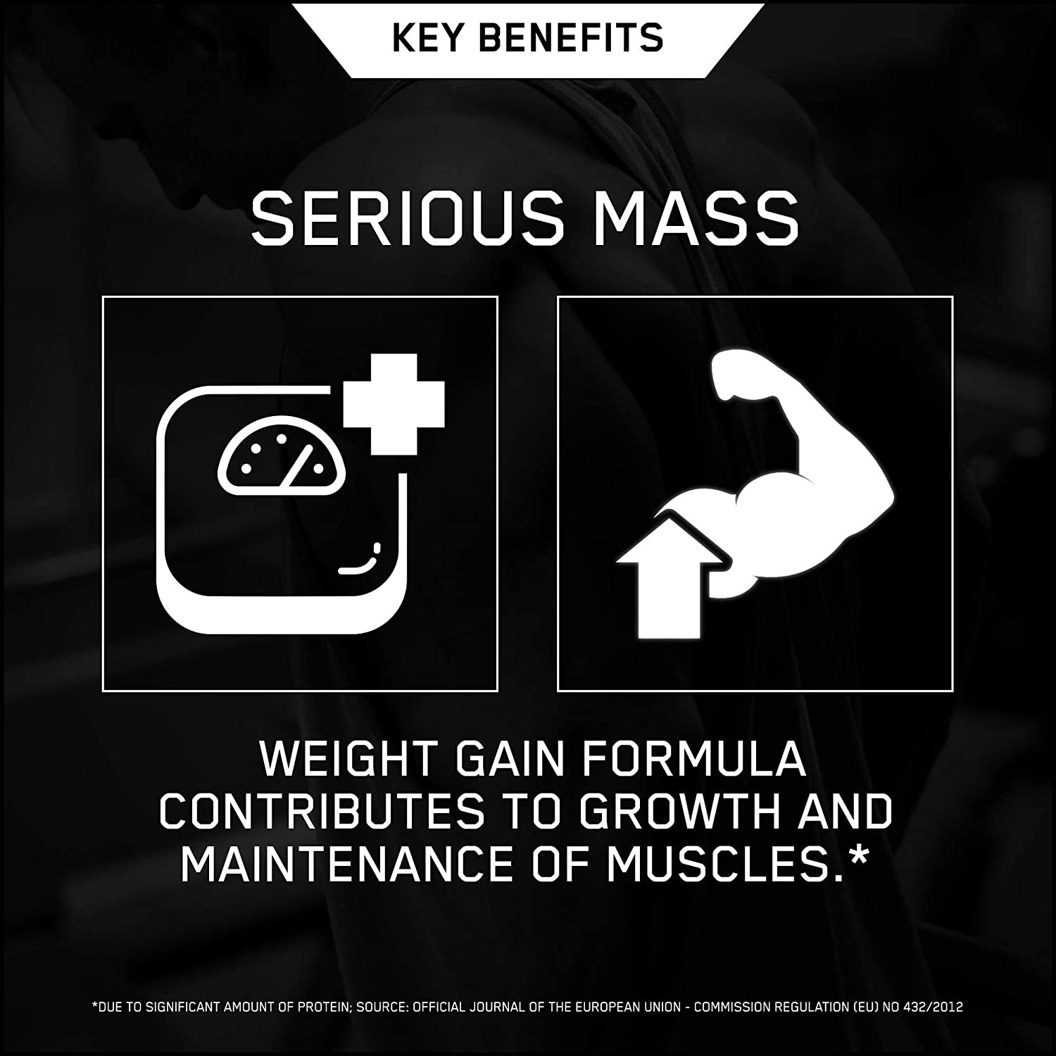 Optimum Nutrition Serious Mass Protein Powder High Calorie Mass Gainer with Vitamins, Creatine and Glutamine, Vanilla - Image 3