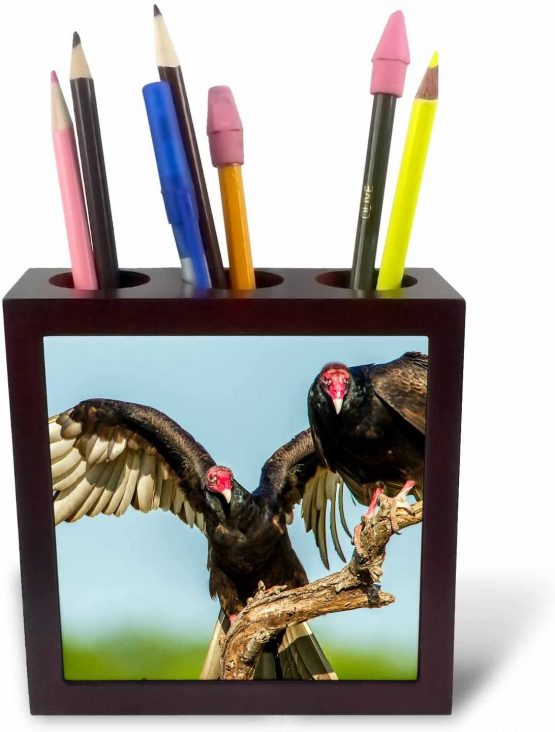 3dRose Blue Heron Building Its Nest-Tile Pen Holder, 5-Inch (Ph_260114_1), 5 Inches