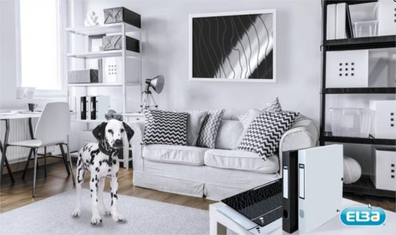 'Elba"Art Studio 1 Stück | 400068818 Folder DIN A4 12 Taben White - Image 3