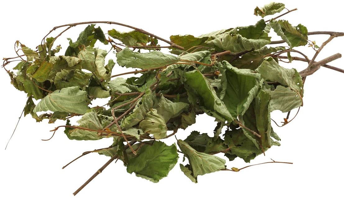 Dehner Best Nature Rodent Snack Hazelnut Branches - 10 x 25g (250 g), 250 g (Pack of 1) - Image 3