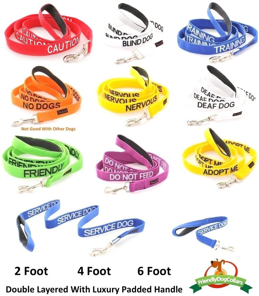 Dexil NERVOUS (Give Me Space/Maybe Unpredictable) Yellow Warning Dog Colour Coded Luxury Padded Personalised 1.8m 6ft Lead Leash To Prevent Accidents or Incidents. Dog Award Winning - Image 2