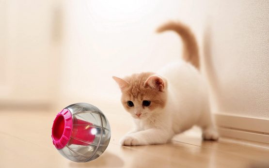Catrine Catmosphere, Smokey/ Pink - Image 2