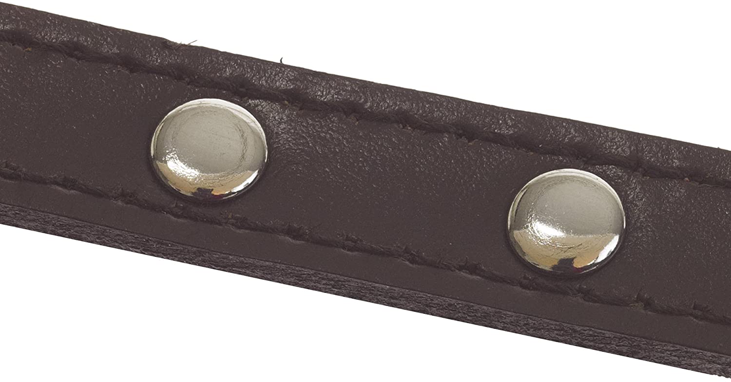 Chapuis Upholstery PU Leather Leash for Cats and Dogs, brown, XS - Image 2