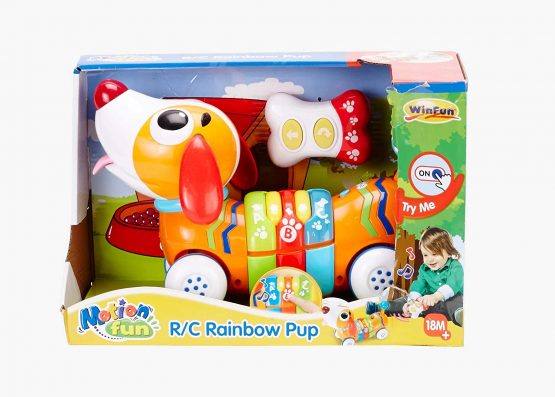 winfun 7301142 Activity and Remote Control, Orange (CPA Toy Group)
