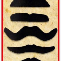6 Black False Moustaches