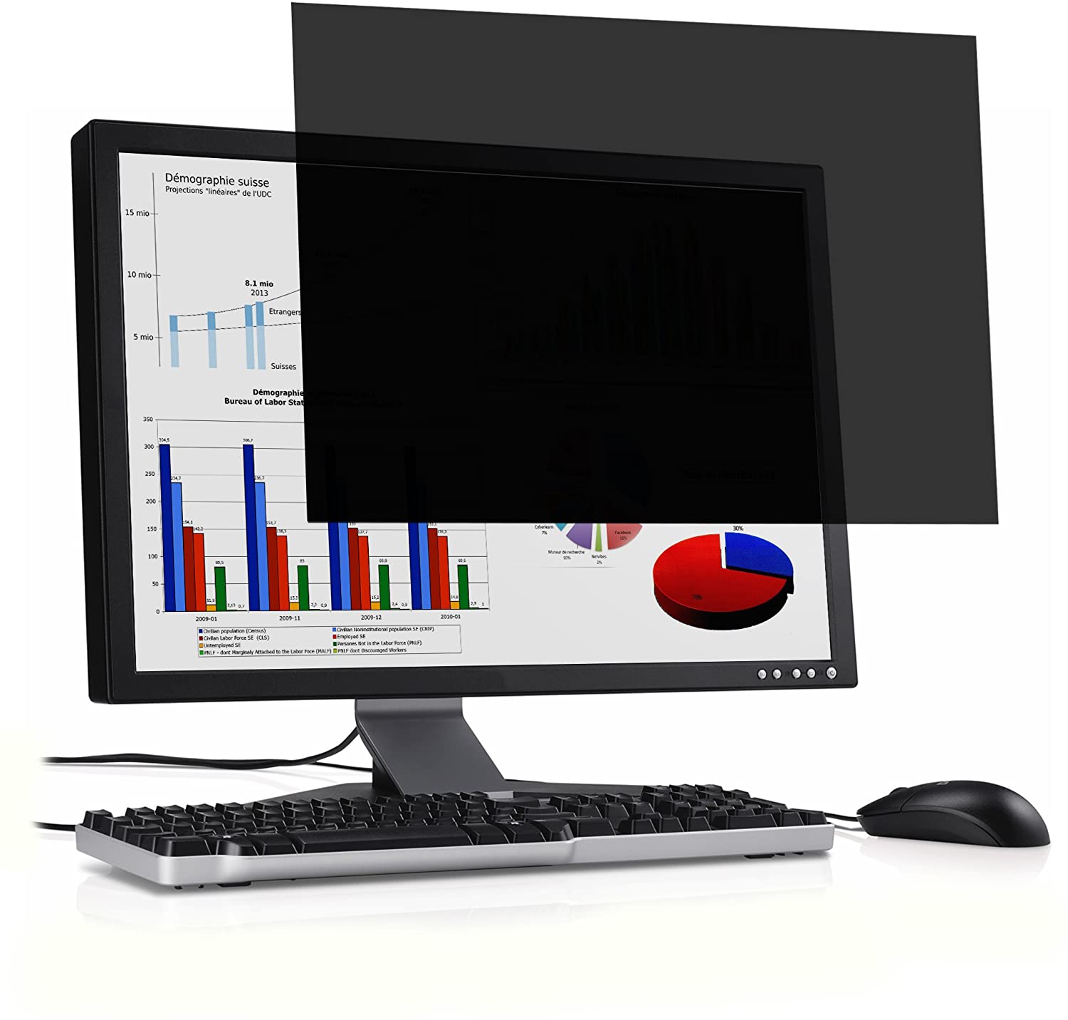 Port Designs 2D 13.3-Inch 16/9 Ratio Professional Privacy Screen Filter & Protector for Windows Laptop/Dell/Lenovo/HP/MacBooks & PC Monitors