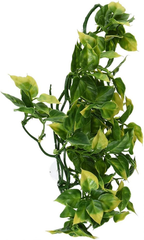 Exo Terra Plastic Amapallo Plant, Medium