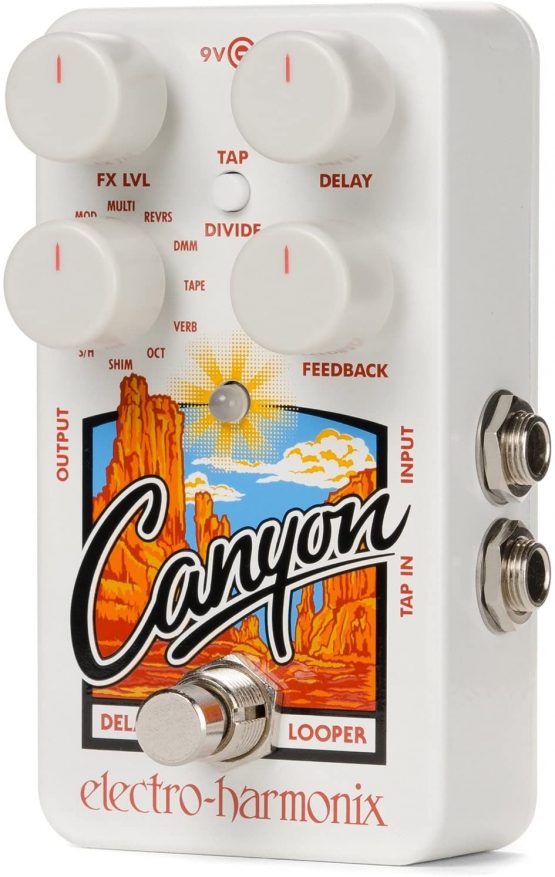 Electro Harmonix Canyon Delay and Looper - Image 3