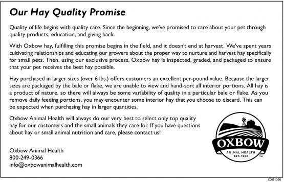 Oxbow Animal Health Orchard Grass Hay - All Natural Grass Hay for Chinchillas, Rabbits, Guinea Pigs, Hamsters & Gerbils - 25 lb. - Image 3