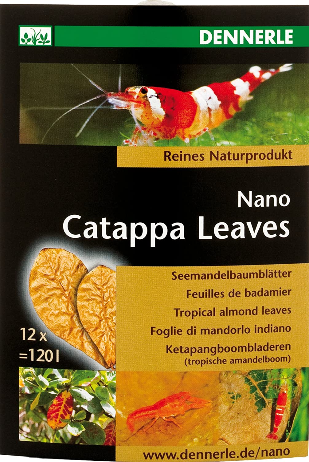 Dennerle Nano Catappa Leaves, 12 count (Pack of 1) - Image 3