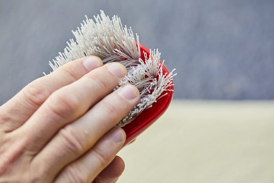 MOTHERS 155900 Carpet and Upholstery Brush - Image 2