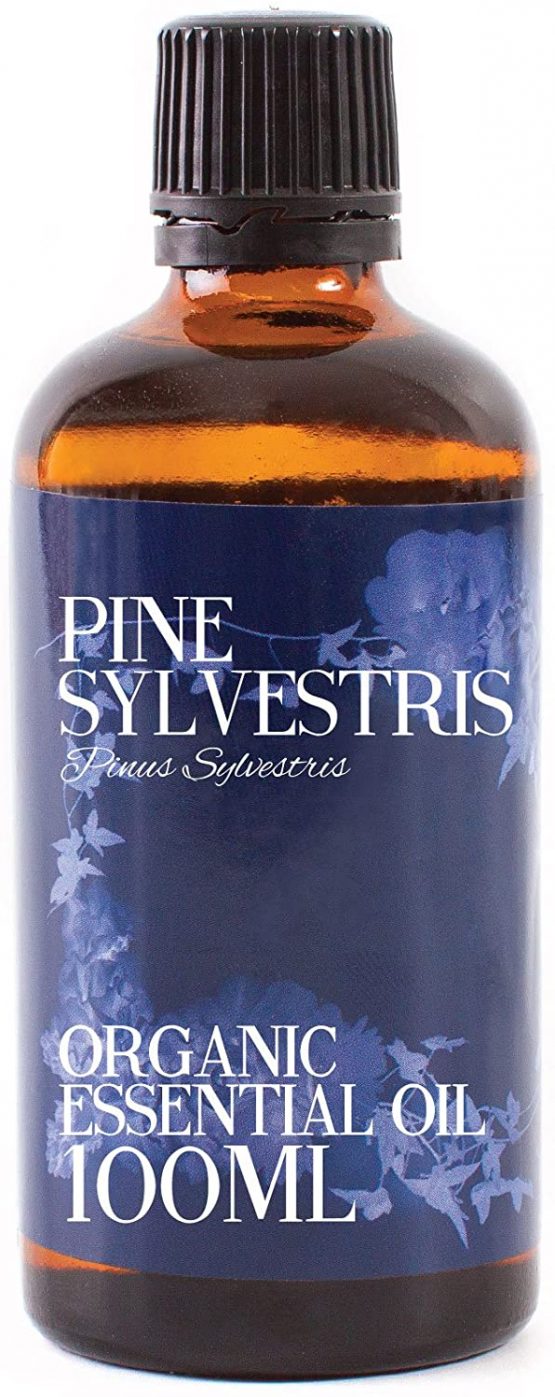 Mystic Moments | Pine Sylvestra Organic Essential Oil - 100ml - 100% Pure