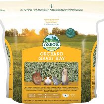 Petlife Oxbow Orchard Grass Hay for Small Pet, 1.13 kg