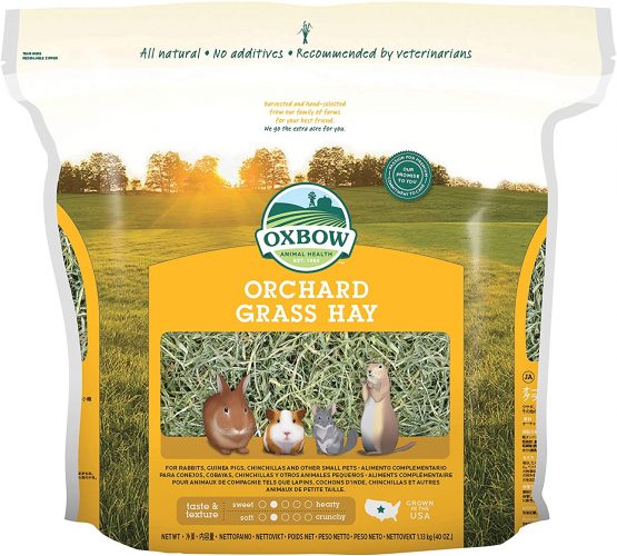 Petlife Oxbow Orchard Grass Hay for Small Pet, 1.13 kg