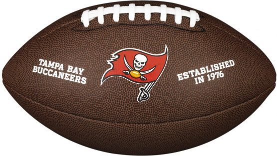 Wilson Sporting Goods NFL Team Logo Composite Football, Official - Tampa Bay Buccaneers