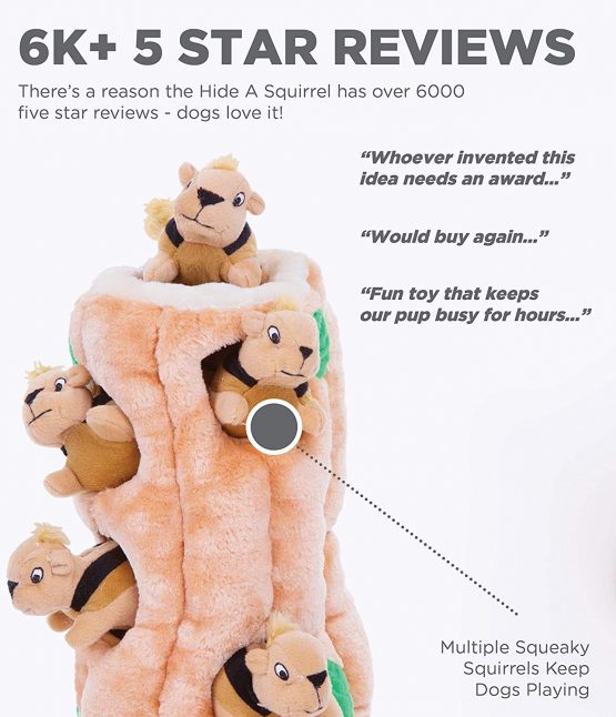 Outward Hound Hide A Squirrel Plush Dog Toy Puzzle, Large - Image 3