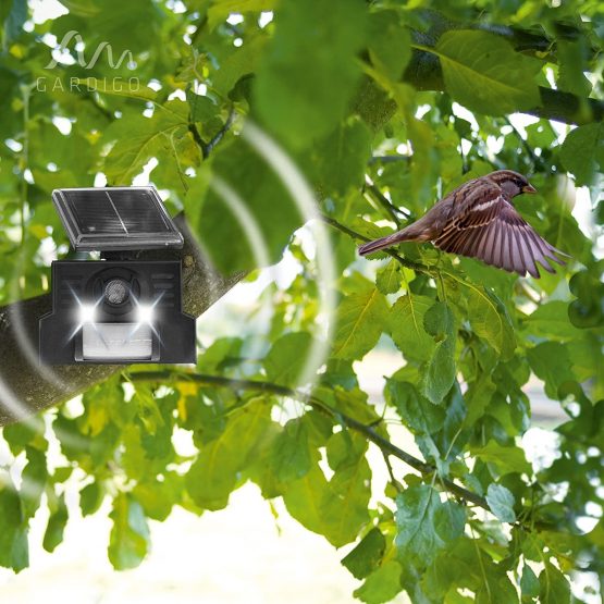 Gardigo electronic Scarecrow Solar Bird Repeller by Ultrasound animalfriendly deterrent of birds on your ground - Image 3