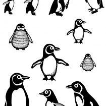 Card-io "A7 In A Flap" Stamp Set, Clear