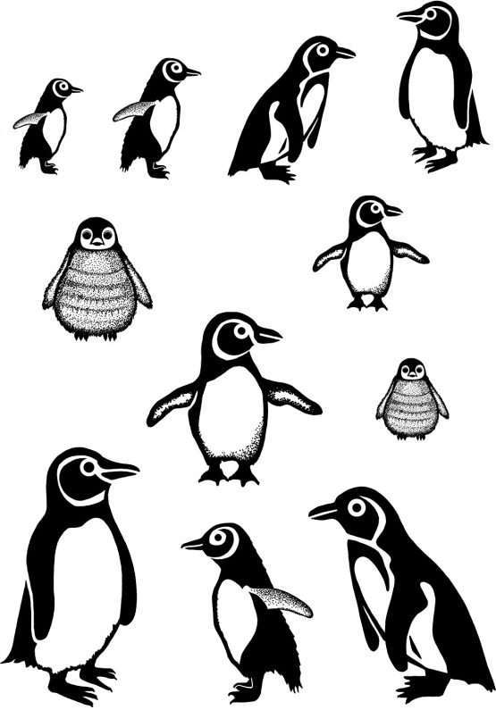 Card-io "A7 In A Flap" Stamp Set, Clear