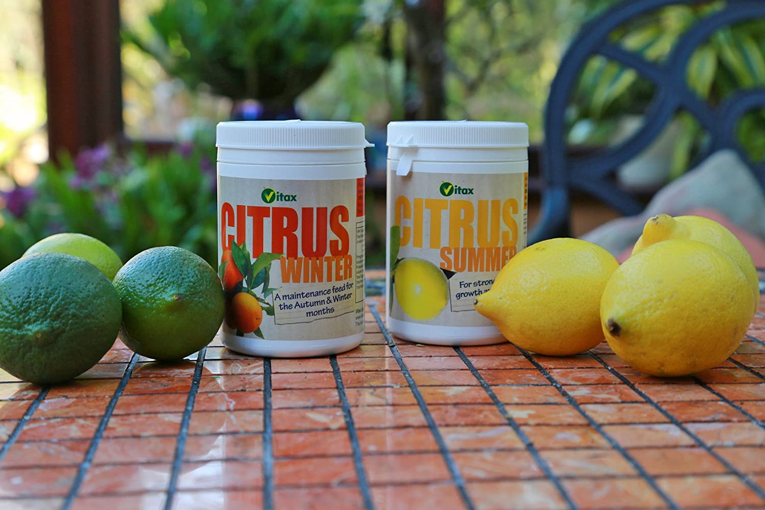 Vitax Ltd Citrus Feed for Winter Soluble Plant - Image 3