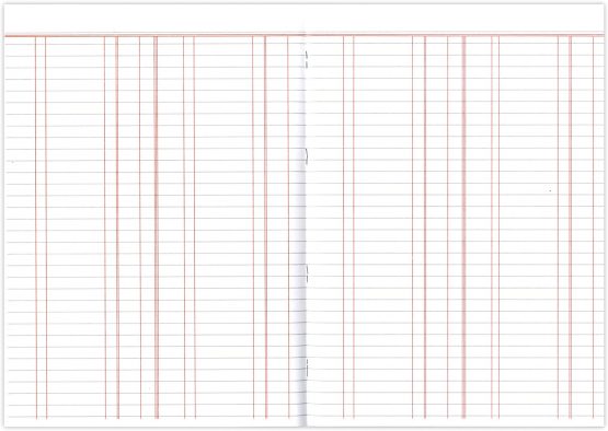 Silvine A4 Book Keeping Ledger, 32 Pages Printed 'Double Entry' - Ref SJA4L - Image 4