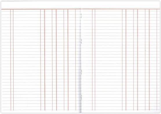 Silvine A4 Book Keeping Cash, 32 Pages Printed 'Treble Cash' - Ref SJA4C - Image 4