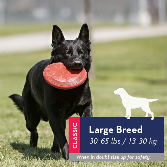 KONG - Flyer - Durable Rubber Flying Disc Dog Toy - For Large Dogs - Image 2
