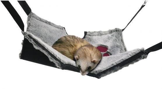 Rosewood Snuggles 2-in-1 Hanging Tunnel and Ha mm ock - Image 2